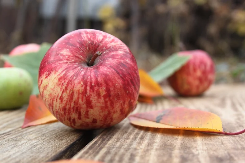 Apple 2024 맥북 프로 14 M4